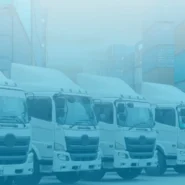 what is fleet management