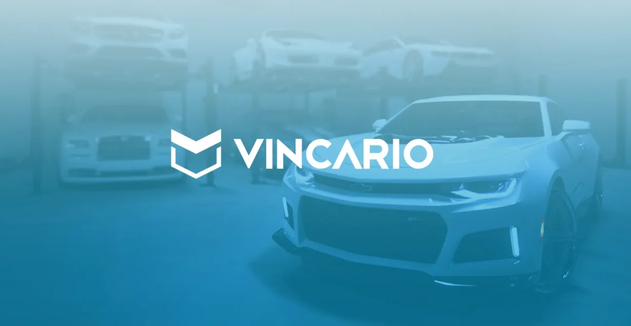 What is Vincario