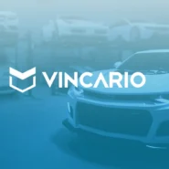 What is Vincario