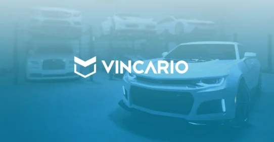 What is Vincario