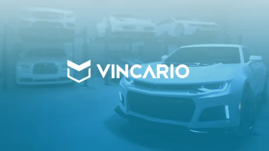 What is Vincario