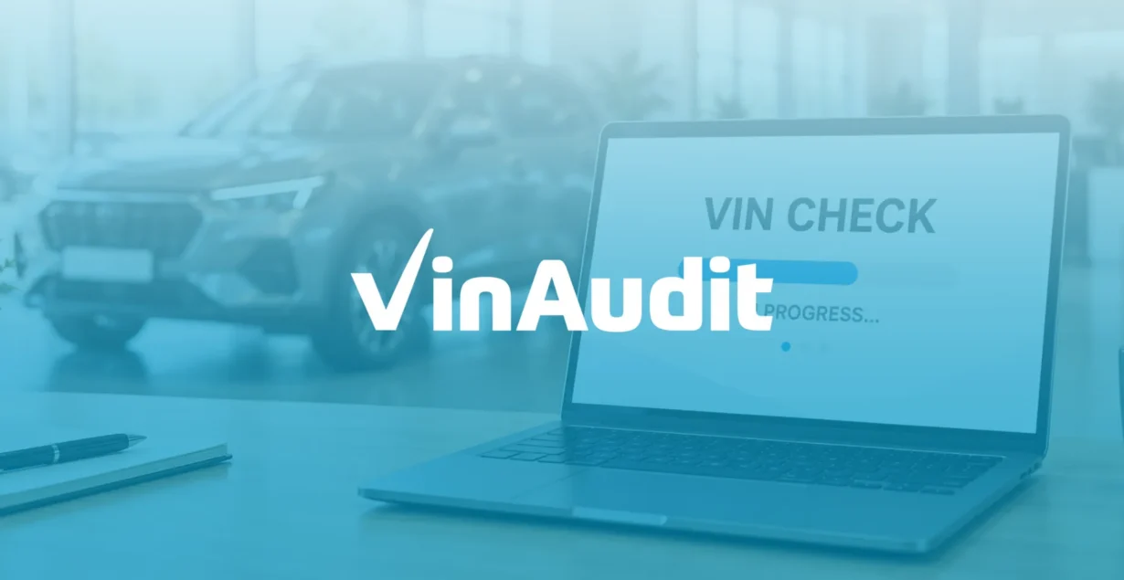 vinaudit reviews