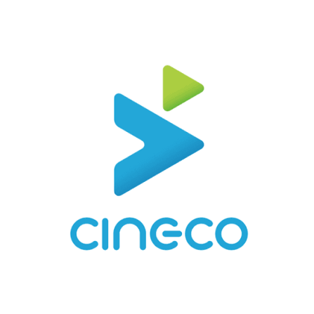 Cineco VIN decoder
